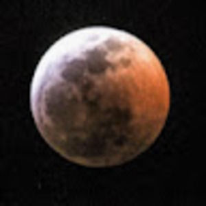 Meet your Posher, Rhonda